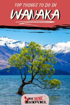 things to do in wanaka new zealand pinterest image