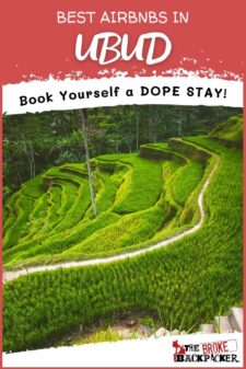 Best Airbnbs in Ubud Pinterest Image