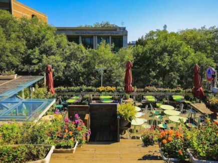 Peking International Youth Hostel
