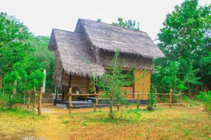 Sigiri Tree House