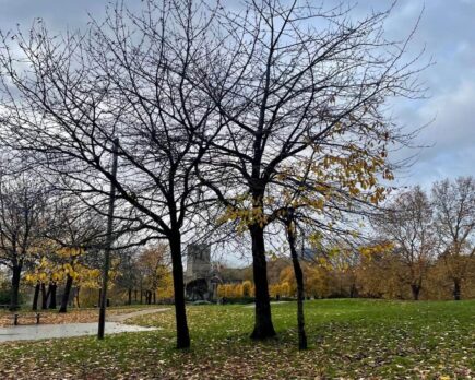 Castle Park